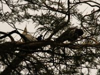 Marion, Romane South Africa 2014 (9 of 80) : Bundu lodge, Marion visit